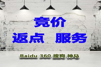 百度竞价SEM成功案例：揭秘广告投放秘诀